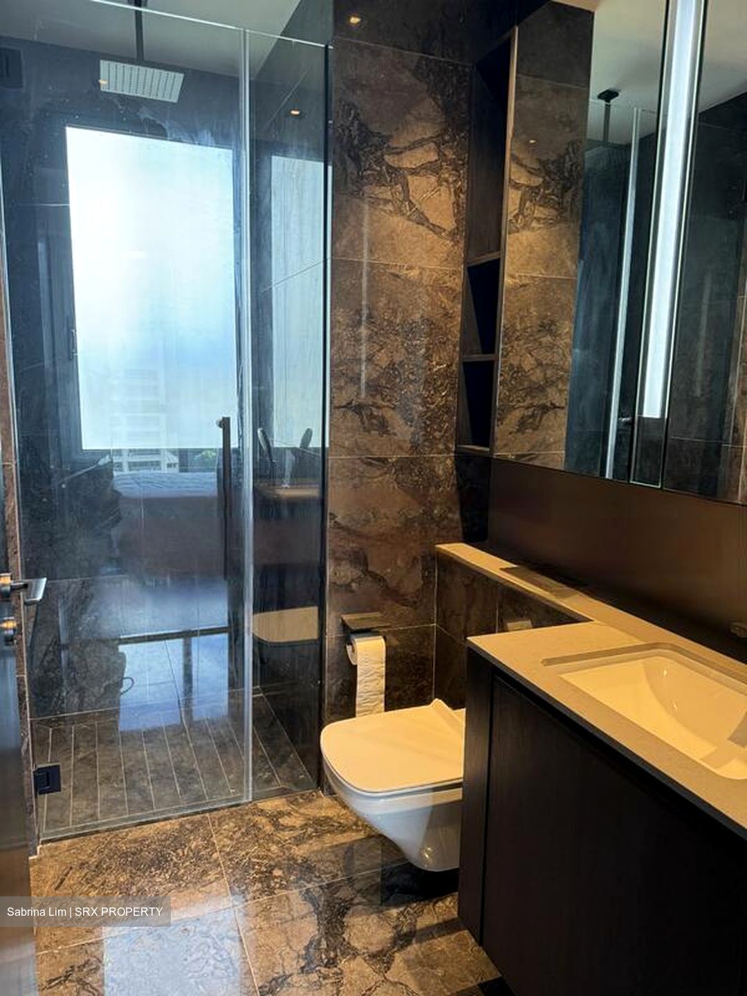 3 Cuscaden (D10), Apartment #480519391